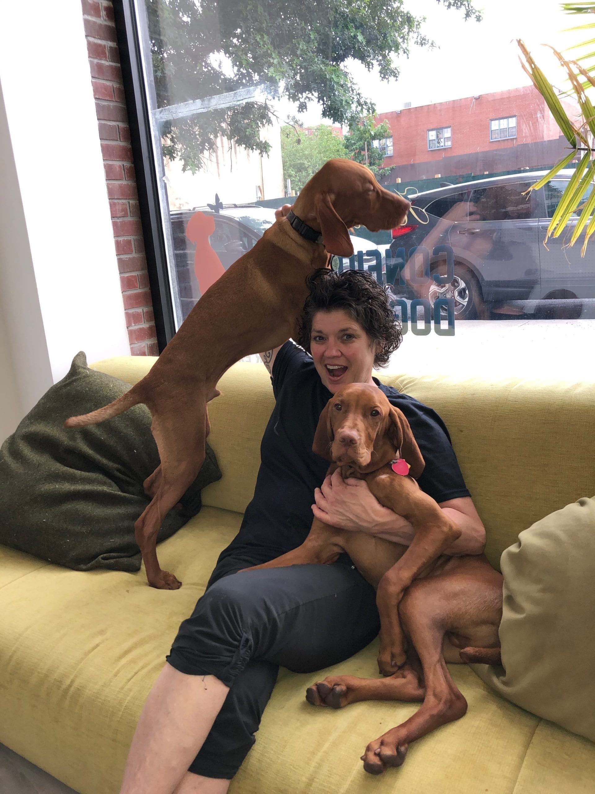 Owner & Manager Anne Maegli smiling with her two vizslas on a yellow couch in front of a big window at Barks & Rec Center. 